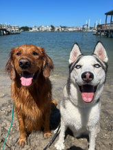 Load image into Gallery viewer, Private Dog Training