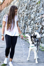 Load image into Gallery viewer, Private Dog Training
